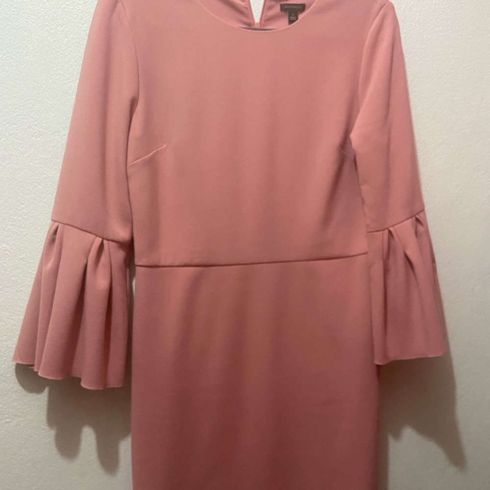 👛 Ann Taylor sheath dress with ruffle sleeves